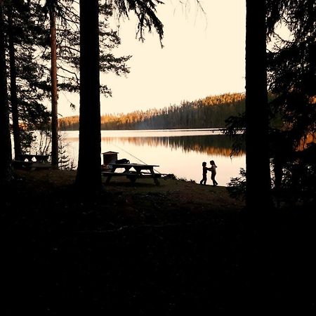 Cozy Stuga - Mountain View Ramsele 外观 照片